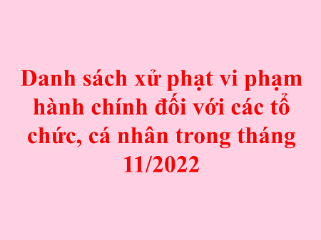 Danh sách xử phạt vi phạm hành chính đối với các tổ chức, cá nhân trong tháng 11/2022